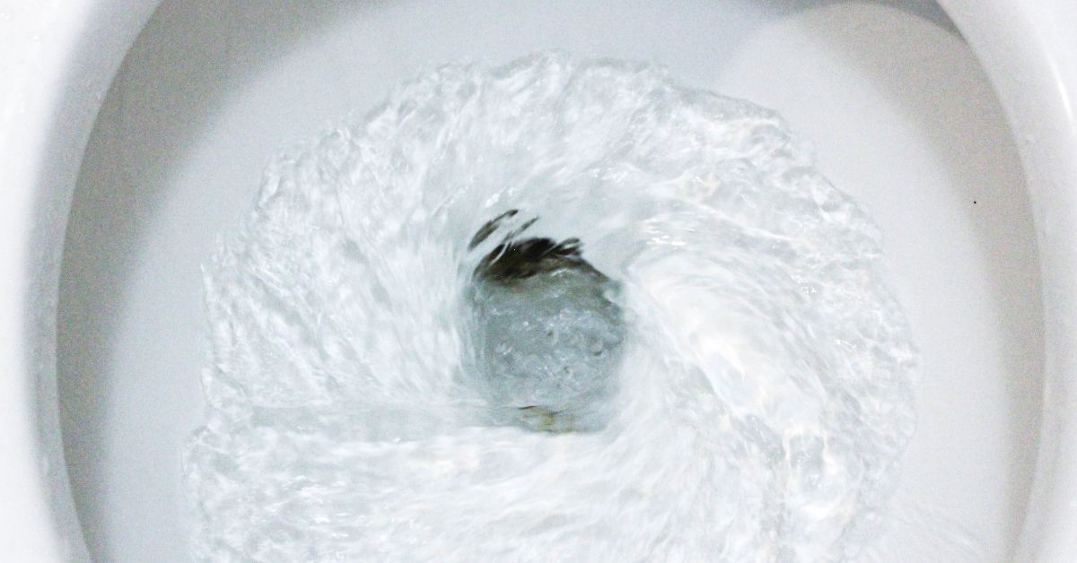 flushing toilet